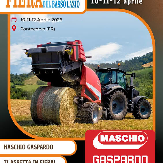 MASCHIO GASPARRO